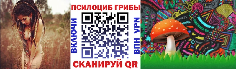 Псилоцибиновые грибы Psilocybe  Новосиль 